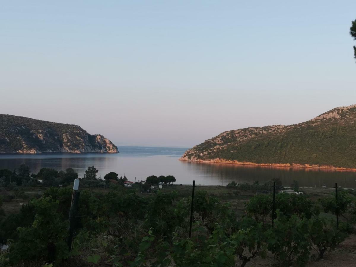 Porto Koufo Resort Bungalows ภายนอก รูปภาพ