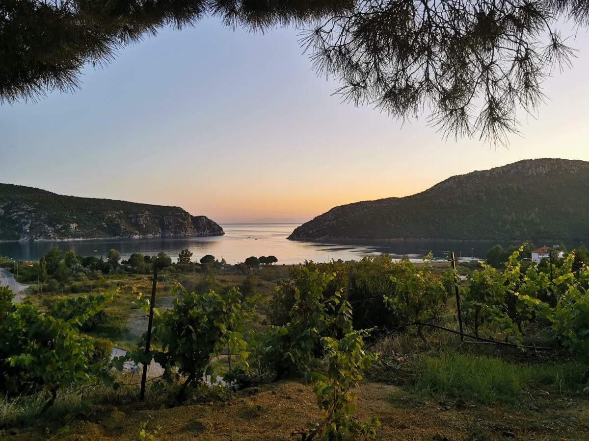 Porto Koufo Resort Bungalows ภายนอก รูปภาพ